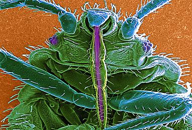 第一人称射击游戏《巫火》新实机演示 即将登陆Epic抢先体验