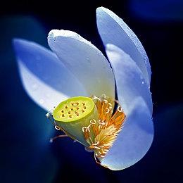 Team NINJA将重启《死或生》和《忍者龙剑传》系列